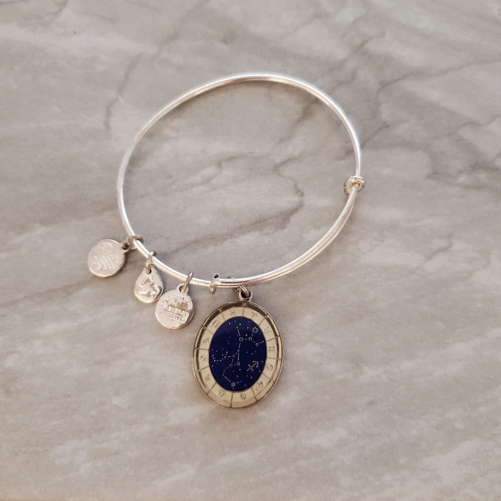 ✨ Alex and Ani Sagittarius November December Expandable Charm Bracelet Bangle